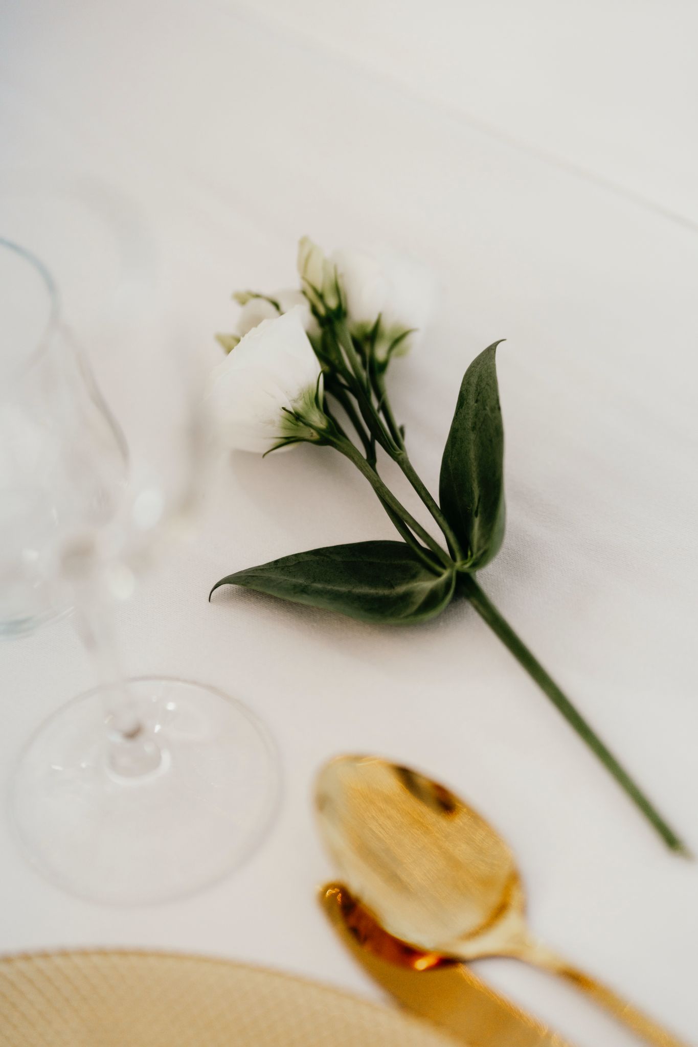 Obiteljske svečanosti na Imanju Tosca u intimnom okruženju prirode